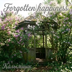 Калымщик - Forgotten happiness