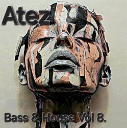 Обложка Bass House Vol 8.