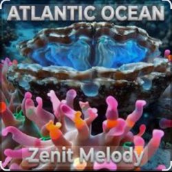 Pochette MelodiZenith - Atlantic Ocean