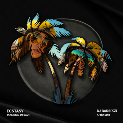 Обложка Ecstasy (DJ Bars(Kz) Afro Edit)