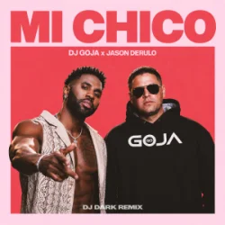 Обкладинка Dj Goja & Jason Derulo - Mi Chico (Dj Dark Remix)