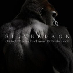 Обложка Silverback - Aventador