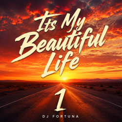 Обложка DJ FORTUNA - Its My Beautiful Life 1
