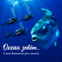 Обложка Helena210 - Океан 🌊