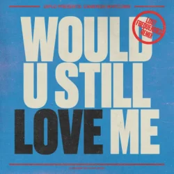 封面 Diplo & Cameron Whitcomb - Would U Still Love Me (Lost Frequencies Remix)