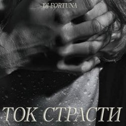 Обложка DJ FORTUNA - ТОК СТРАСТИ