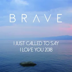 I Just Called To Say I Love You