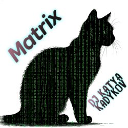 Обложка DJ Katya Kadykov - Matrix (minatrix_edition)