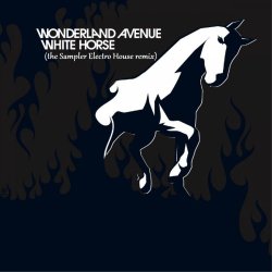 Cover White Horse (the Sampler Electro House remix)