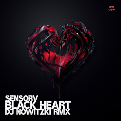 Обложка SENSORV - Black Heart (DJ Nowitzki Remix)