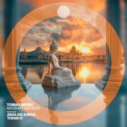 Обложка Tomas Briski - Mirrors on the Ceiling