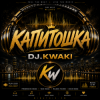 Pochette DJ.kwaki - КАПИТОШКА DJ.kwaki - КАПИТОШКА