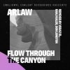 Обложка ARLAW - Flow Through The Canyon (VegaZ SL Remix) ARLAW - Flow Through The Canyon (VegaZ SL Remix)