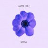AGAPE - Квітка