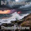 DJ Shved&co - Thunderstorm