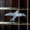 Caged Rhythm - The Return (Original Mix)