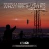 Don Diablo, Steve Aoki & Lush & Simon - What We Started