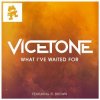 Cover Vicetone feat. D. Brown - What I've Waited For (Original Mix) Vicetone feat. D. Brown - What I've Waited For (Original Mix)