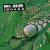 Iguana - Illimani