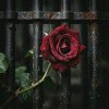 RJ Emerald Fire (Изумрудный огонь) - Prison of Love
