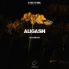 ALIGASH - Moon Bay At Sunset (Extended Mix)