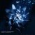 Cover N-Mon1c - You Problem (Gifta Remix)