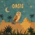 Cover KSHMR & Ampermut & Gobi Desert Collective & TEJA - Oasis