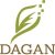 Cover Dagan - Focused