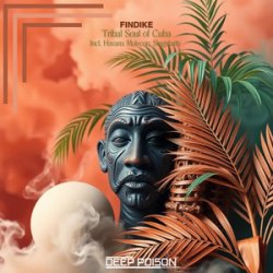 Обложка Findike - Tribes (Original Mix)