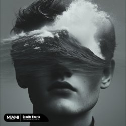 Обложка Akmalov, Lynoria - Gravity Hearts