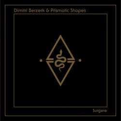 Обложка Dimitri Berzerk - Surgere (Mi 3 De 8 Bits Remix)
