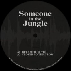 Обложка Someone in the Jungle - Gunshot
