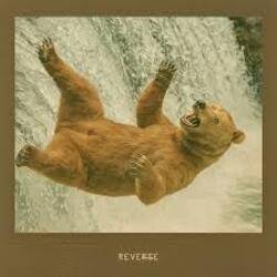 Portada Agency - REVERSE
