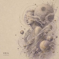 Обложка ViTaLiKuS - VEIL