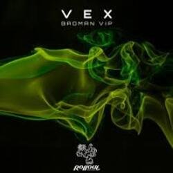 Обложка VEX - Northern Funk (Leks Remix)