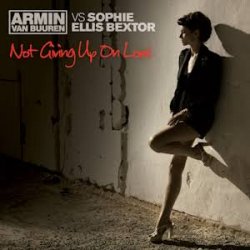Обложка Armin van Buuren feat. Sophie Ellis-Bextor - Not Giving Up On Love
