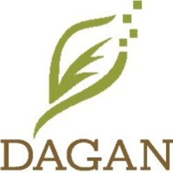 Обложка Dagan - Focused