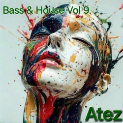 Bass & House Vol 9.