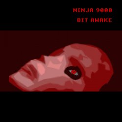 Обложка Ninja 9000 - Raster Curtains