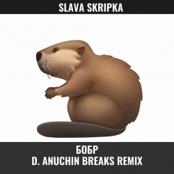 Cover Бобр (D. Anuchin Breaks Radio Edit)