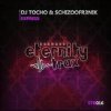 Обложка DJ TOCHO & Schizoofr3nik - Express DJ TOCHO & Schizoofr3nik - Express