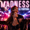 DJ FORTUNA - MADNESS