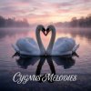 封面 Vasilii CECEGOV & Atom - Cygnus Melodies Vasilii CECEGOV & Atom - Cygnus Melodies