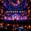 Duck & Rufus - Wonder Why