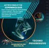 Astroconductor - Experience Dive