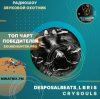 Cover DesposalBeats, L B R I S - crysouls DesposalBeats, L B R I S - crysouls