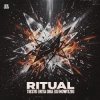 Tiesto & Rita Ora - Ritual (DJ Nowitzki Remix)
