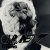 Portada Clark - Frisky Mellows