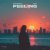 Cover MARSTEREON, PLYAJ - Feeling