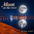 Обложка DJ-Lion- Л. Е. В. - Moon on the river